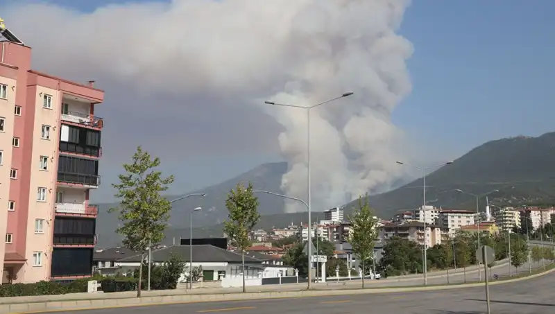 Denizli'deki Orman Yangını: Şüpheli Gözaltında, Yangının Ardındaki Gerçek Ne?