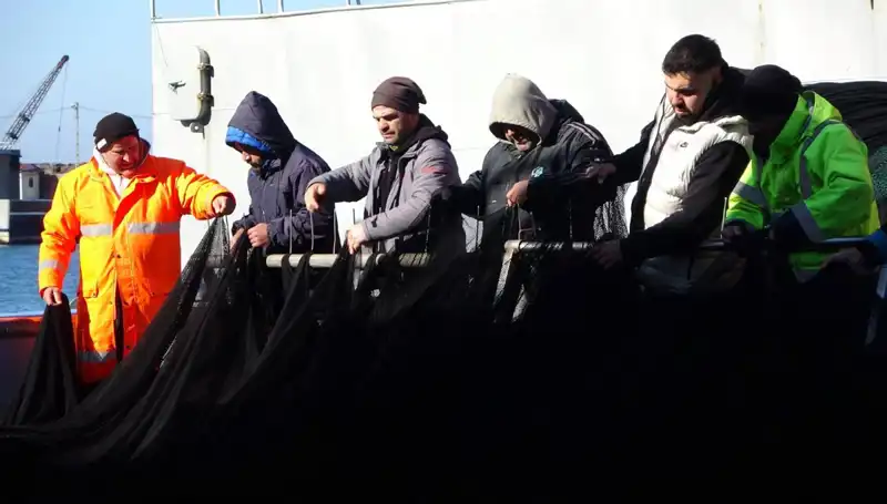 Hamsi Krizi: Denizlerde Stoklar Tükendi, Balıkçılar Erken Paydos Etti