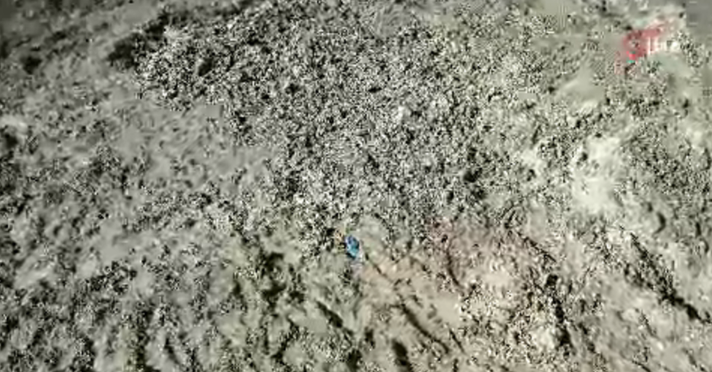 İstanbul'da Kayıp Çinli İş İnsanının Cinayeti: Gizemli Ölümün Detayları Ortaya Çıktı