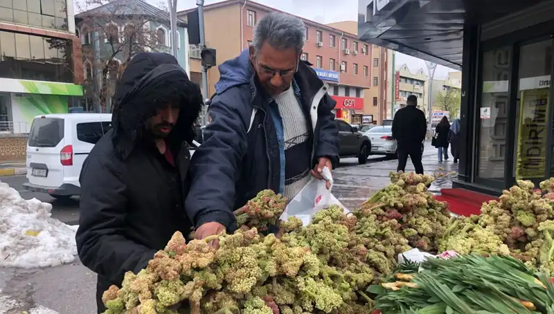 Kendiliğinden Yetişen Şifa: Kanserin Yeni Umudu Olarak Tanıtılıyor