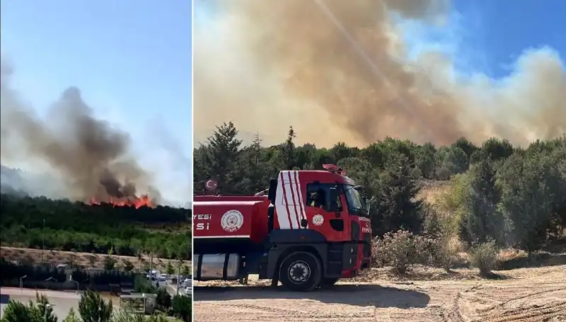 Gebze'de Korkutan Orman Yangını: Doğa Korku İçinde