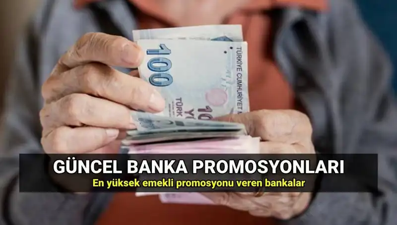 2025'te Emeklilere Sunulan En Yüksek ve Düşük Promosyona Sahip Bankalar