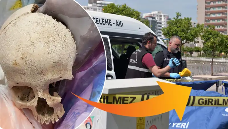 Sitenin Çöpünden Kafatası Çıktı: Uzman Doktor Tutuklandı!