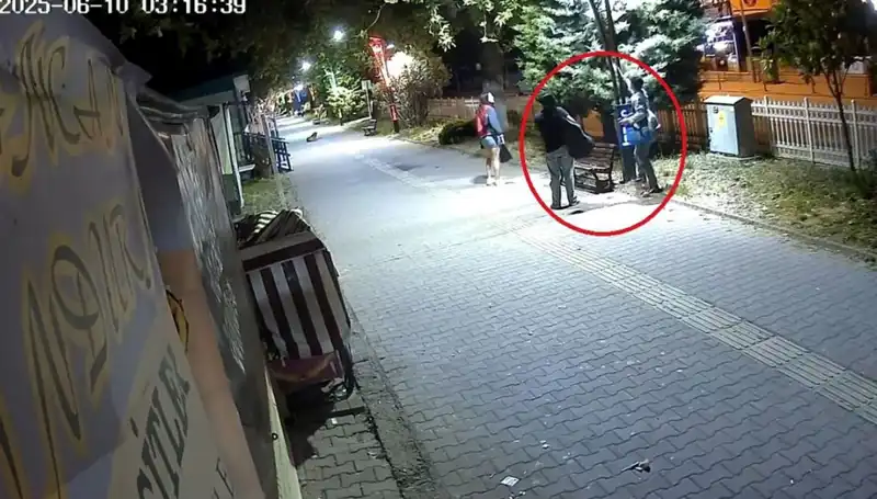 Aydınlatma Direklerinden LED Işıkları Söktüler: Şehirdeki Zarar Yüz Binlerce Lira