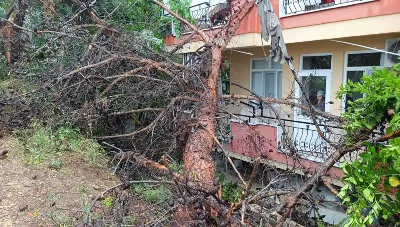 Şiddetli Yağmur Sonrası Bina Çöktü: Olayın Detayları Sıra Dışı!