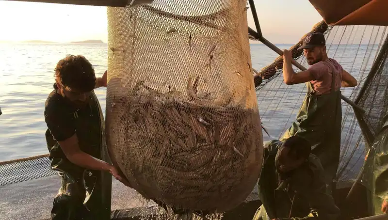 Balıkçılar İhlallere Savaş Açtı: Ceza Miktarları Tavan Yaptı