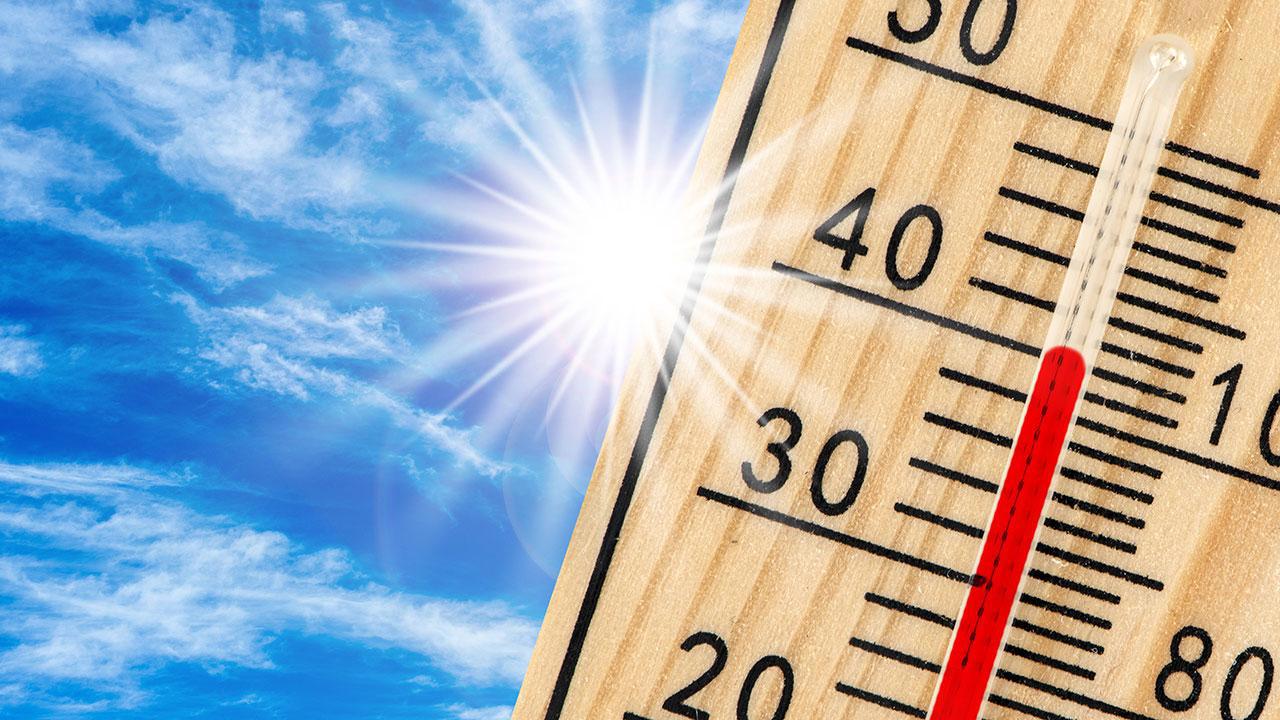 Dünya 2024'te Rekor Sıcaklık Raporu