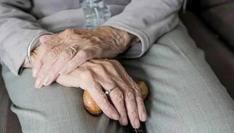 Türkiye'nin Nüfus Yapısında Değişim: Yaşlanma Süreci Hızlanıyor