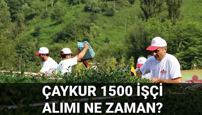 Çaykur İşçi Alımı Başvuru Tarihleri Açıklandı! Son Gelişmeleri Kaçırmayın