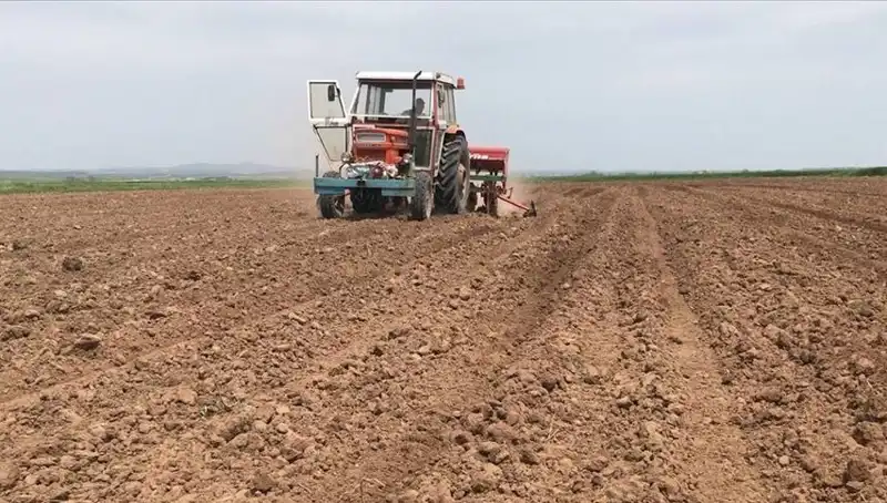 Son 35 Yılda Görülen En Kurak Mart, Yağışlar Yüzde 59 Düştü!