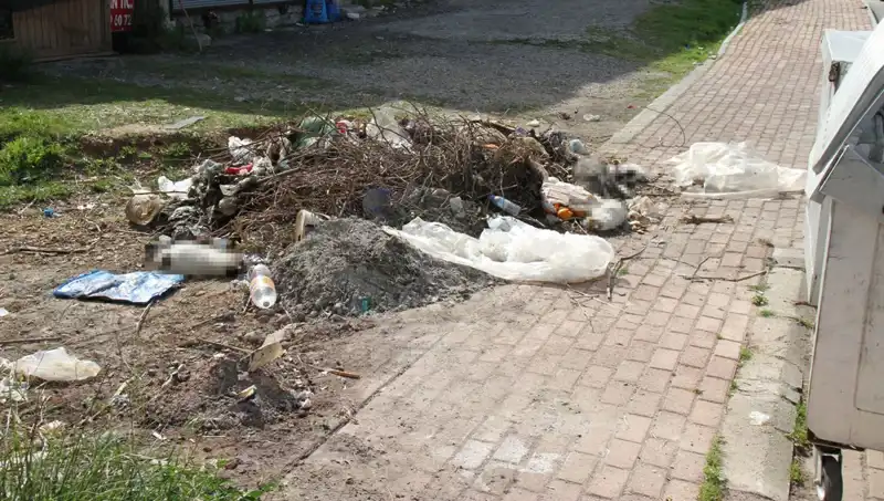 Antalya'da Kedilere Yapılan Vahşet Şok Edici Detaylarla Gündemde