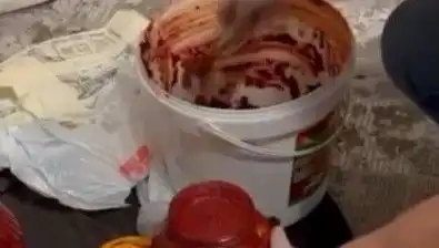 Salça Bidonlarında Uyuşturucu İddiası: Sıradışı Kaçakçılık Yöntemi Ortaya Çıktı!