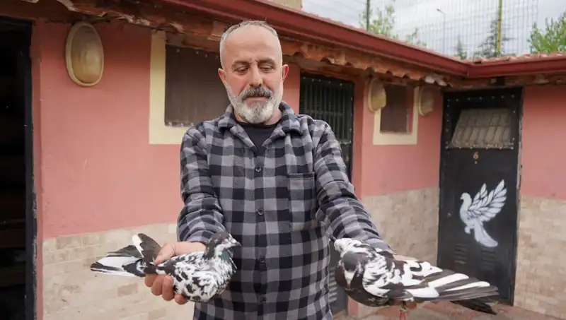 42 Yıldır Süren Hobi, Artık Profesyonel Tesise Dönüştü: İl Dışından Gelen Yoğun Talep