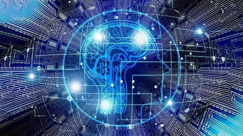 Kripto Dünyasında Şok Edici Bulgu: Bot Sürüleri Ortaya Çıktı