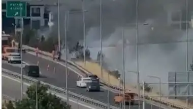 Anadolu Otoyolu'nda Korkunç Yangın: Sigara İzmariti Tahribat Yüzde Yüz Dedi!