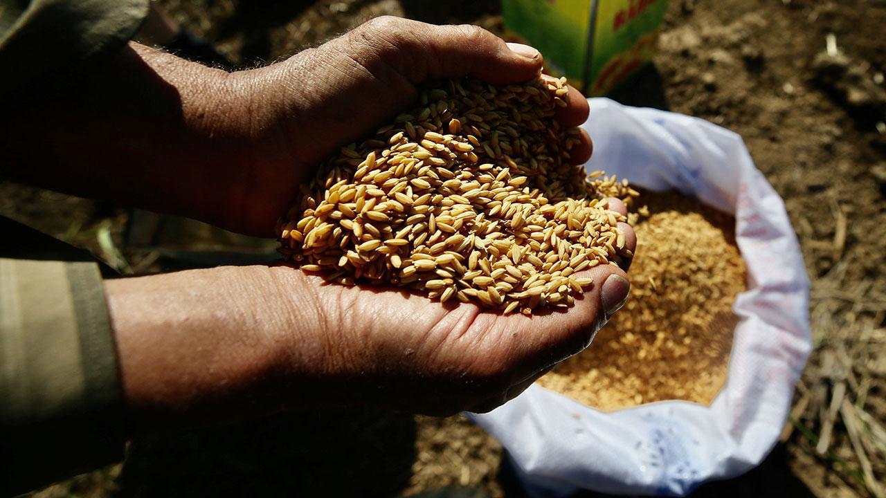Tarım Kredi marketlerinde Ata tohumları satışa sunulacak!