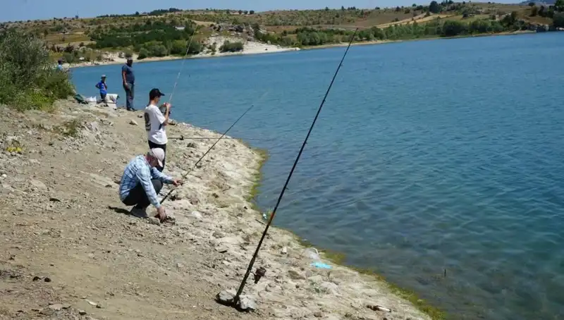 Kafesler Patladı! Limanda Büyük Panik ve Yoğun Kalabalık