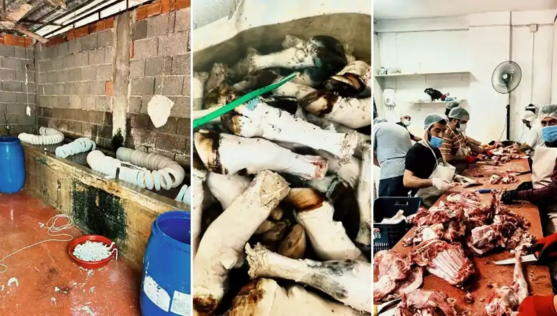 Adana'da Şok Eden Paça Ele Geçirildi: Yüzlerce Kilo Ürün İnceleme Altında!