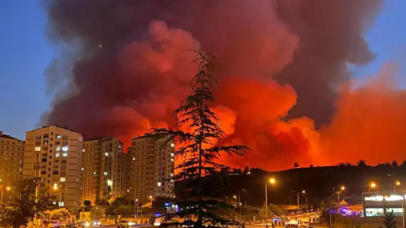 Bursa'yı Saran Yangınlar: Doğa ve Şehir Tehdit Altında