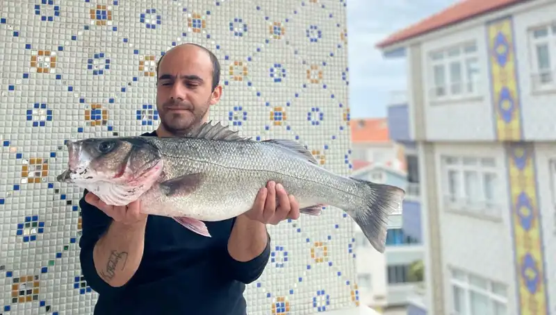7,5 Kiloluk Dev Levrek Avcıları Şaşırttı: Bu Oluşum Ne Anlama Geliyor?