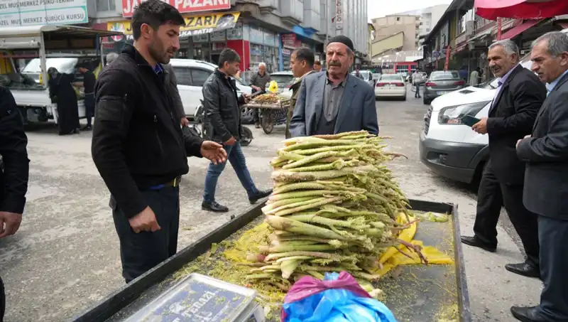 Dağlık Alandan Toplanan Şekerin Sağlığa Faydaları: Kanser ve Mide Hastalıkları Üzerindeki Etkileri