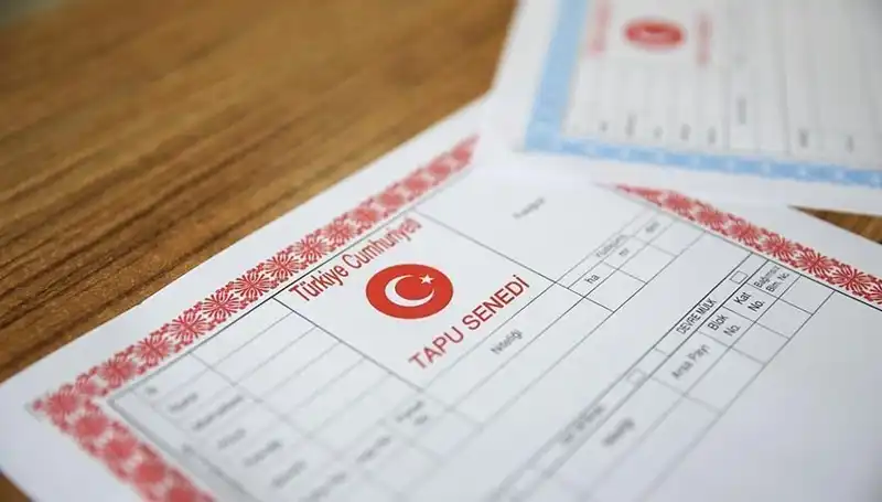 100 Milyonluk Dolandırıcılık Ağı: "Hisseli Tapu" Tuzağı Ortaya Çıktı