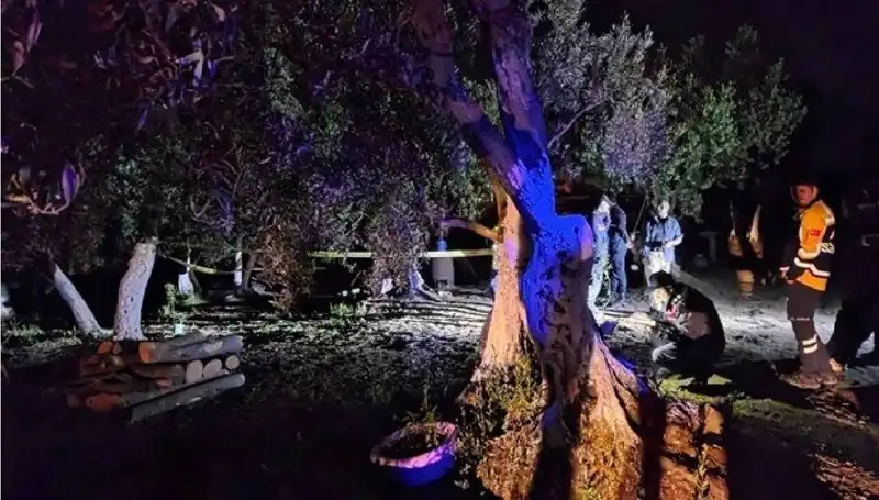Çiftlikteki Baltalı Vahşet Olayında Şok Tutuklama Gerçekleşti!