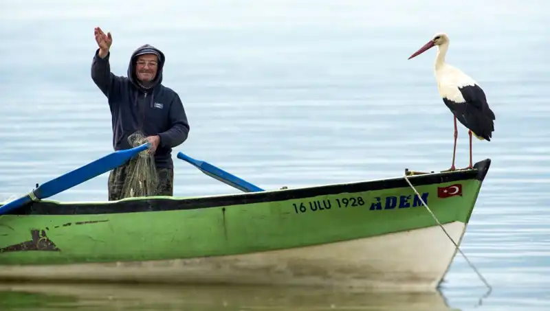 Yaren Leylek Geldi mi? Leyleklerin Ziyareti ve Geleneklerimiz Üzerine