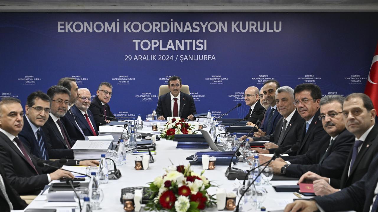 Ekonomi Koordinasyon Kurulu, Programı Etkin Bir Şekilde Yürütüyor