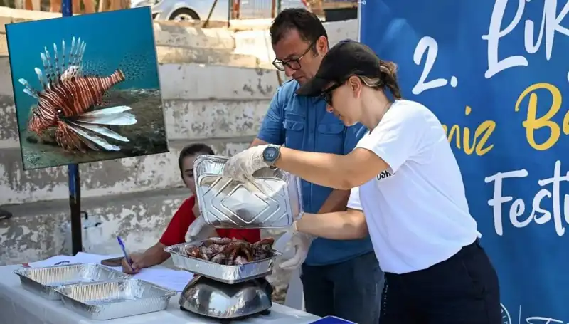 Antalya’da İstilacı Aslan Balığına Karşı Avlama Yarışması Başlıyor!