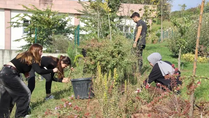 Düzce'nin Yıldızı: Dünyaca Ünlü Proje Hayata Geçti