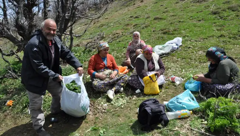 Dağlarda Yürüyüp Geliyorlar: Yüzlerce Ailenin Geçim Kaynağı Olan Kilo İle Pazara