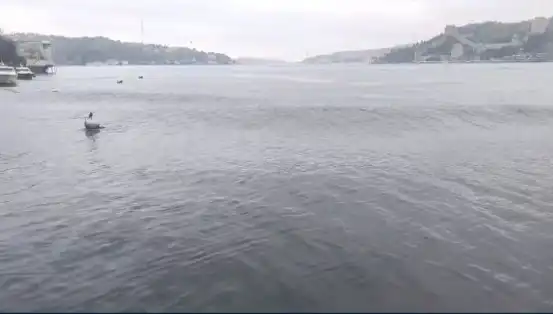 İstanbul’da 6,2 Büyüklüğündeki Deprem, Denizde Dalgalar Yükseldi!